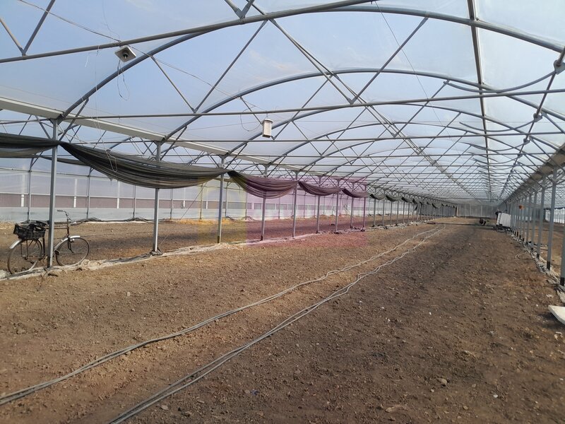 VANZARE TEREN 3100 MP - SAT ROSIORI (IL)